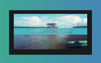 SAE Transition Zone and AquaVib Marine Vibrator